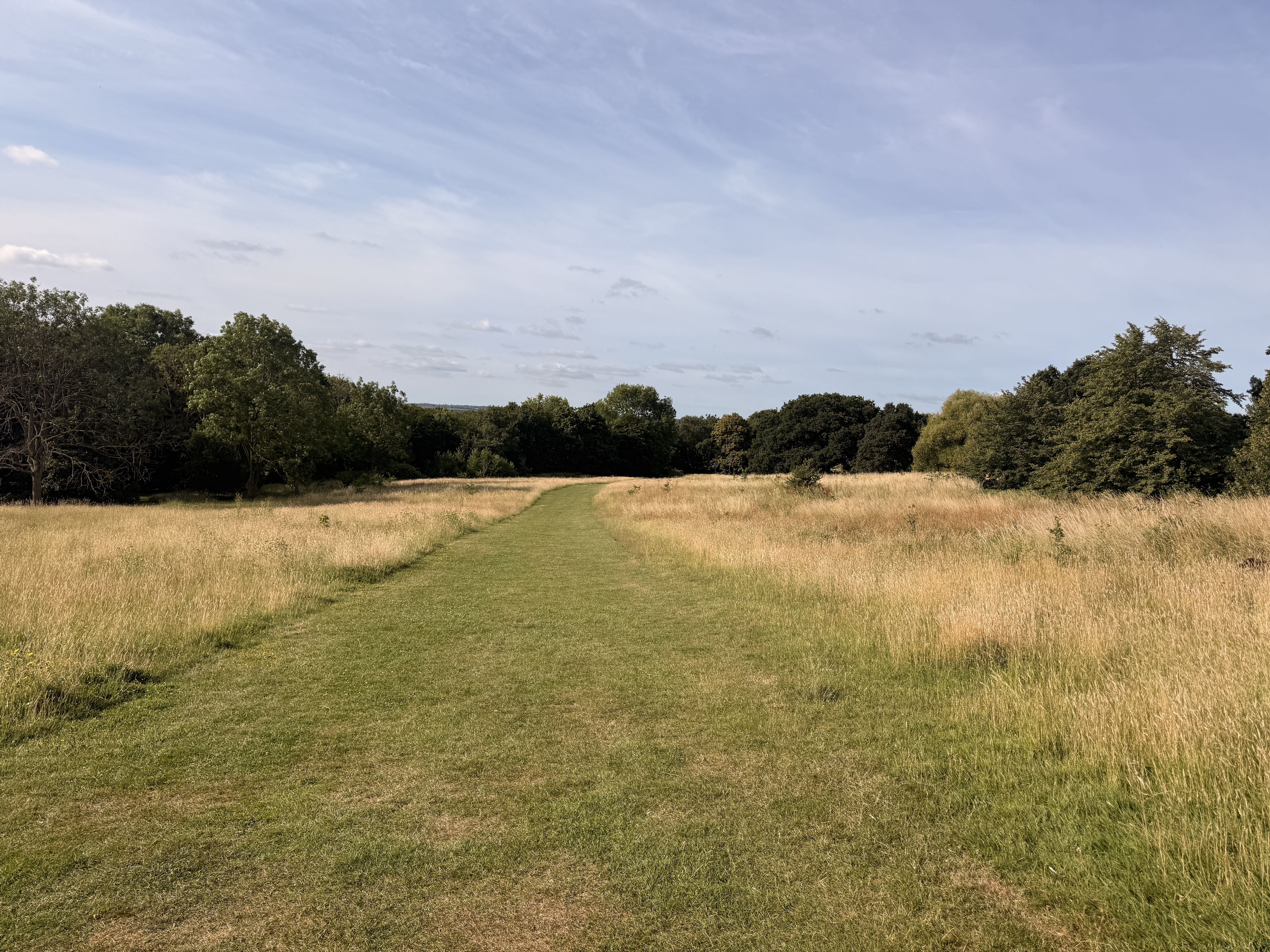 Canterbury countryside path through summer meadow — Blean, Kent